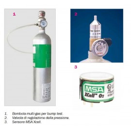 Kit Rilevatore Multigas Portatile Altair 4X con Bombola e Valigetta
